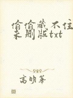 偷偷藏不住小说未删版txt