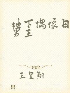 地下偶像日漫双男主封面