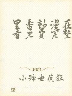 里番动漫在线观看免费完整版电视剧封面