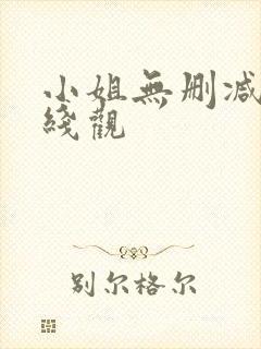 小姐无删减版在线观