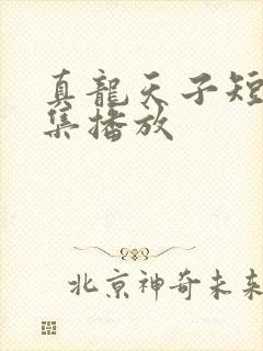 真龙天子短剧全集播放