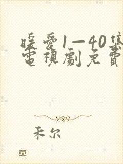 暖爱1—40集电视剧免费观看