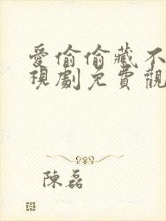 爱偷偷藏不住电视剧免费观看