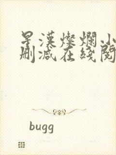 星汉灿烂小说无删减在线阅读封面