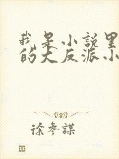 我是小说里共同的大反派小说免费阅读