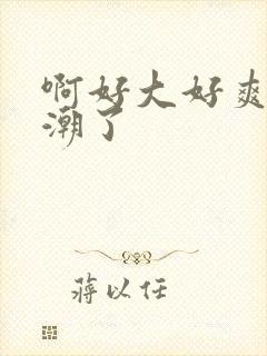 啊好大好爽要高潮了