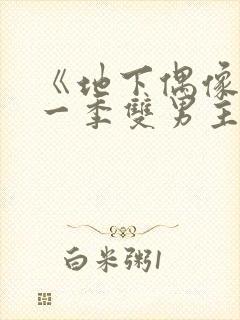 《地下偶像》第一季双男主免费播放