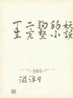 丁二狗的妖孽人生完整小说