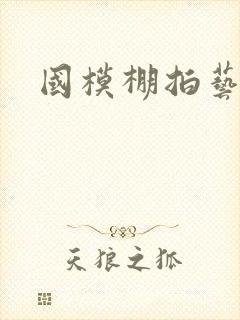 国模棚拍艺术照封面