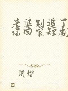 老婆别追了我跟你回家短剧