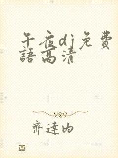 午夜dj免费国语高清