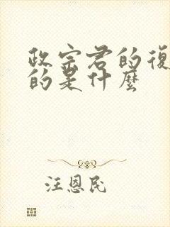 政宗君的复仇讲的是什么