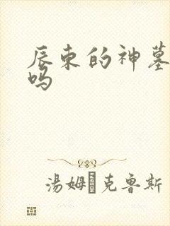 辰东的神墓好看吗封面