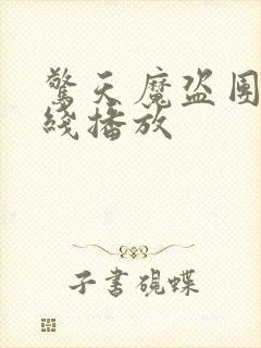 惊天魔盗团2在线播放