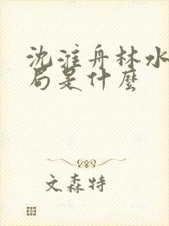 沈淮舟林水伊结局是什么