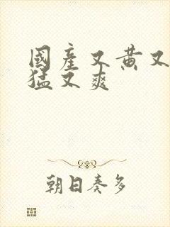 国产又黄又粗又猛又爽