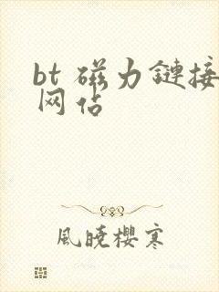 bt 磁力链接网站封面