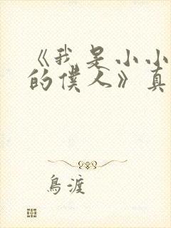 《我是小小魅魔的仆人》真人版封面