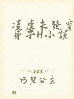 凌虐未发育的小身子H小说