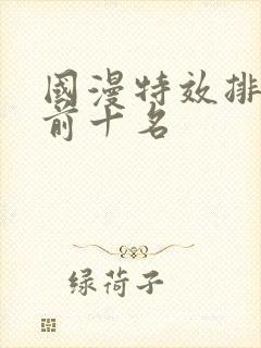 国漫特效排行榜前十名封面