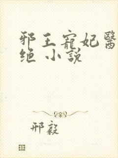 邪王宠妃医毒双绝 小说