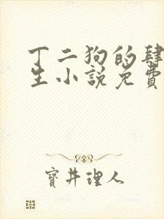 丁二狗的肆意人生小说免费阅读