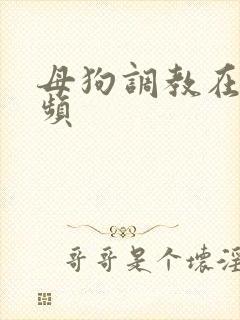 母狗调教在线视频