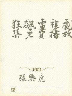 狂飙电视剧36集免费播放