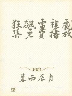 狂飙电视剧34集免费播放下载