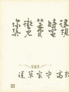 你微笑时很美全集免费电视剧