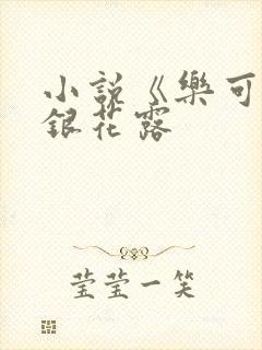 小说《乐可》金银花露封面