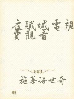 夜赋城电视剧免费观看