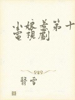 小娘惹第十六集电视剧封面