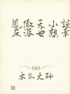 凤傲天小说里的反派也想幸福txt