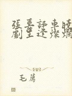 张嘉译车晓电视剧生逢灿烂的日子