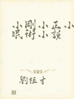 小刚小正小柔催眠术小说