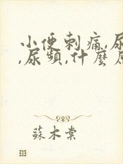 小便刺痛,尿急,尿频,什么原因引起