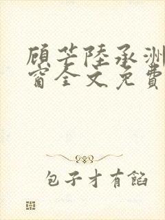 顾芒陆承洲无弹窗全文免费阅读