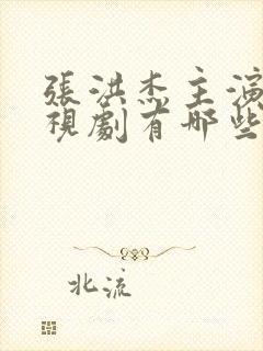 张洪杰主演的电视剧有哪些