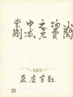 掌中之物小说无删减免费阅读全文