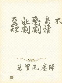 至此飞鸟不相逢短剧剧情