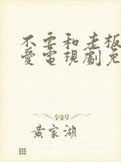 不要和老板谈恋爱电视剧免费观看封面