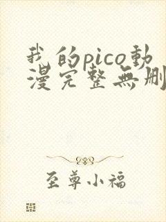 我的pico动漫完整无删减