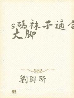 s码袜子适合多大脚