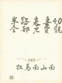 半路夫妻40集全部免费观看