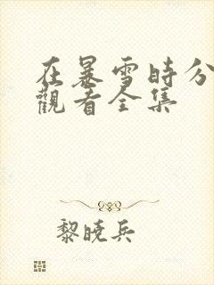 在暴雪时分免费观看全集