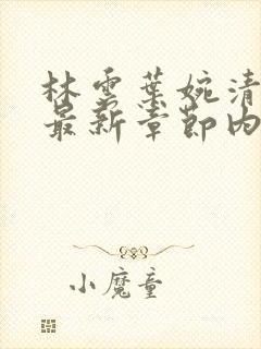 林云叶婉清小说最新章节内容