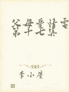 父母爱情电视剧第十七集