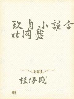 玖月小说合集txt网盘封面