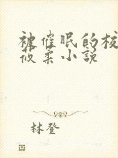 被催眠的校花高莜柔小说